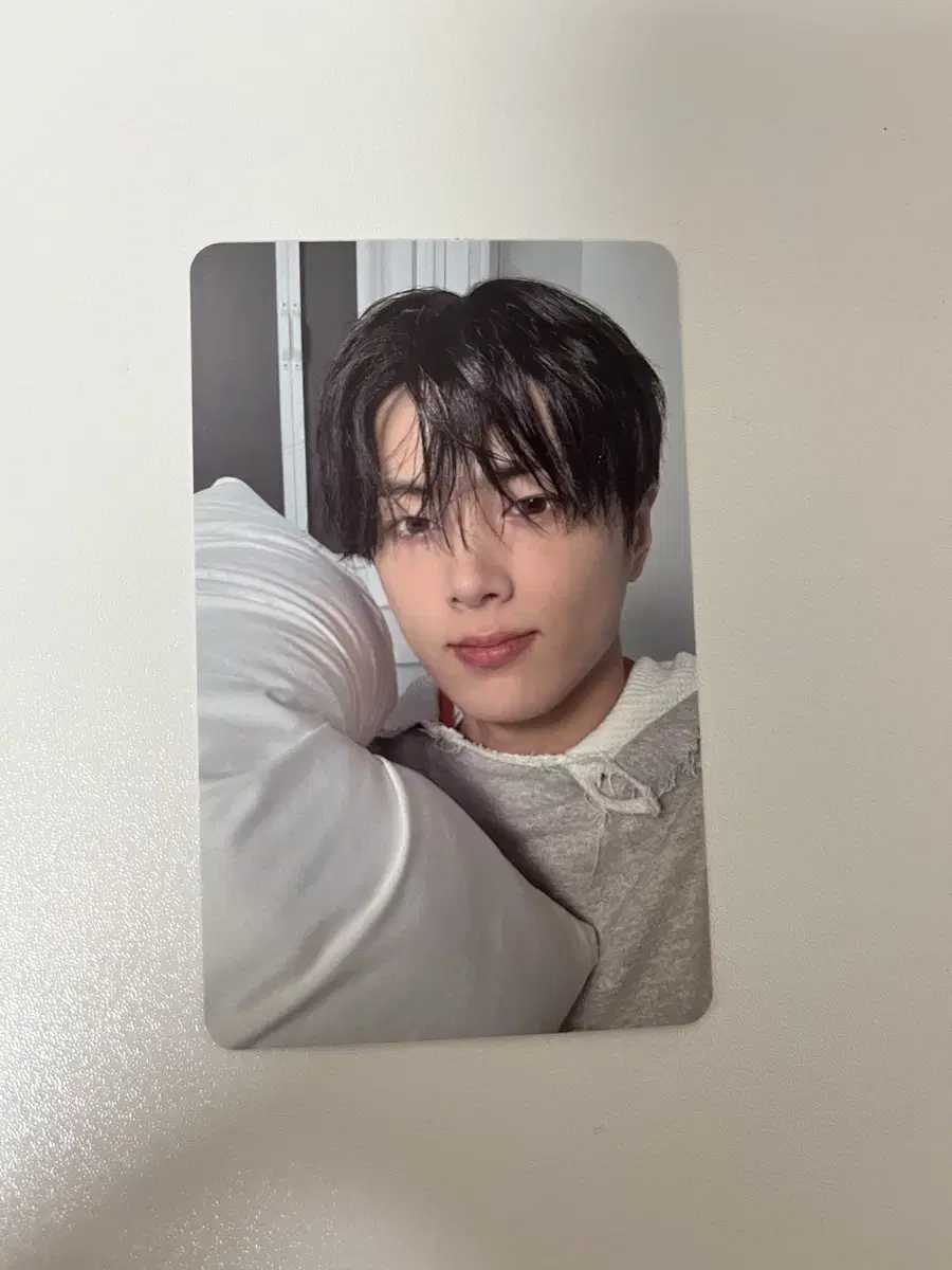 enhypen daydream blue noon jay photocard photocard