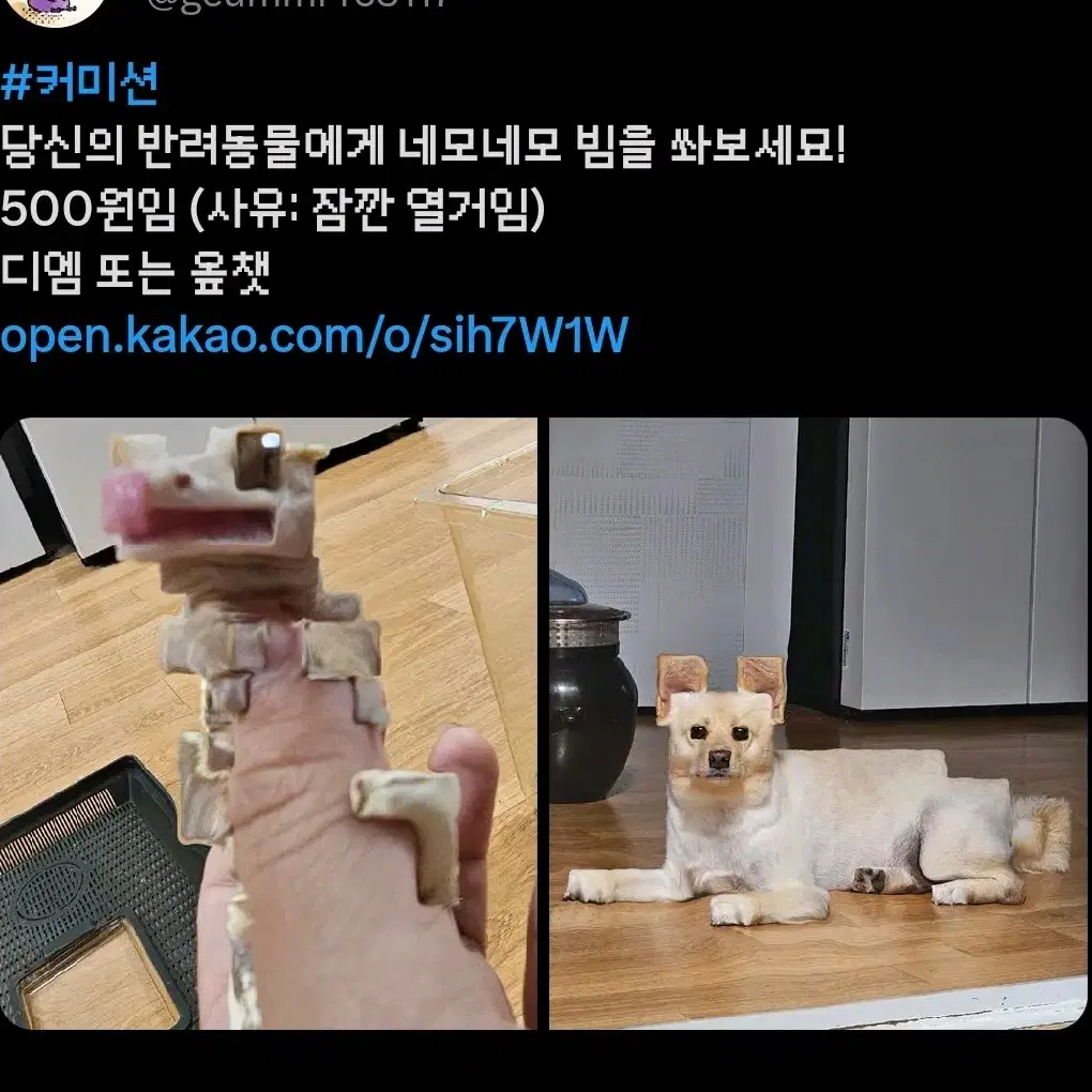 반려동물 네모네모빔 커미션