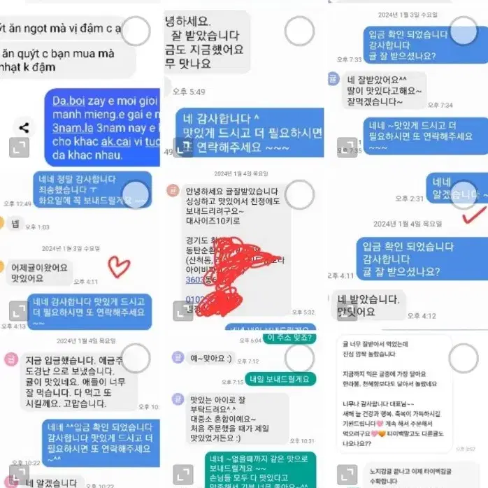 제주도 노지감귤 10키로 15000원