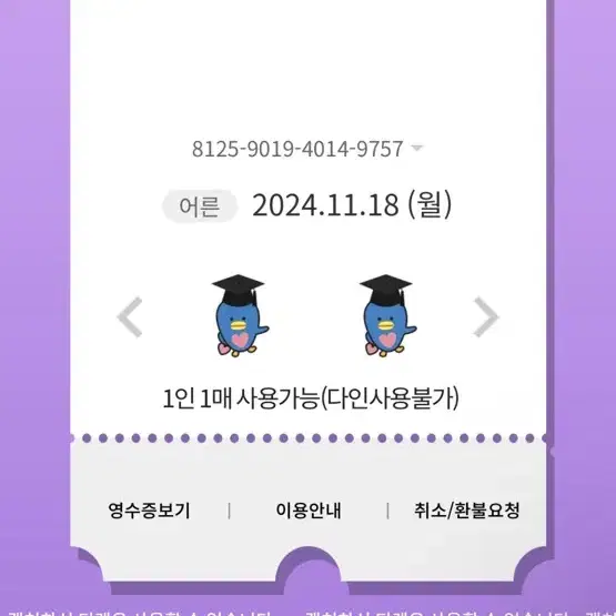 11월18일 롯데월드 매직패스 7회권