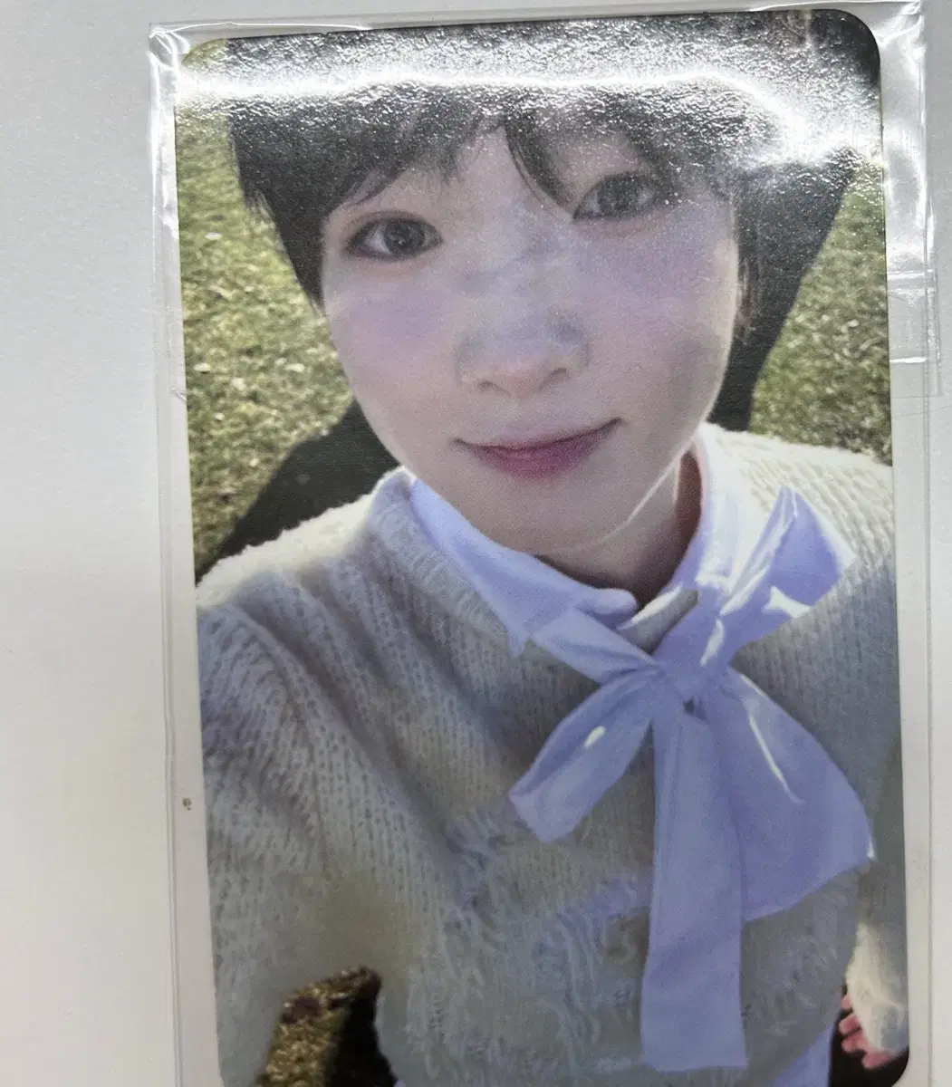 NCT Wish Sakuya Photocard