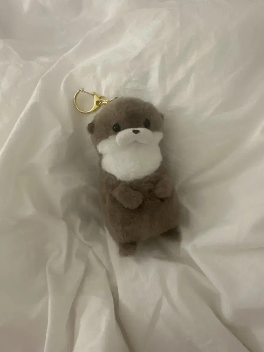 Amuse genuine otter doll keyring (zerobaseone kim taerae Son Minsoo doll)