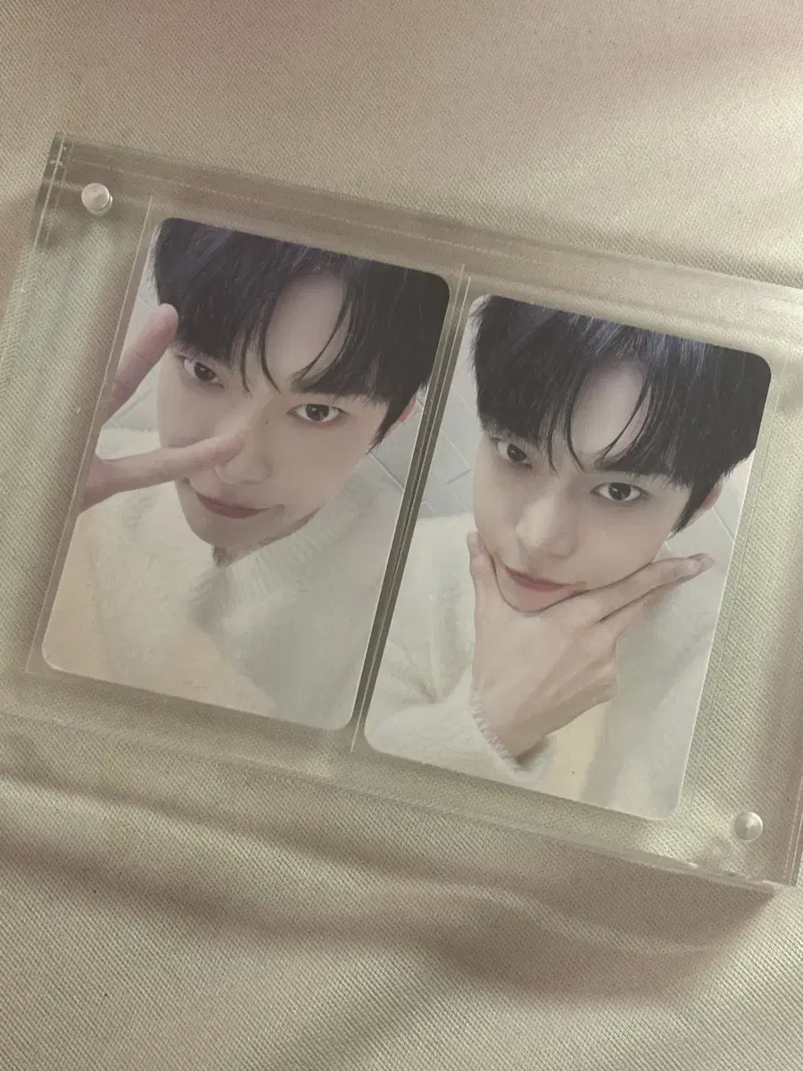 doyoung dongkon dearestus dearestus fortune card selpo