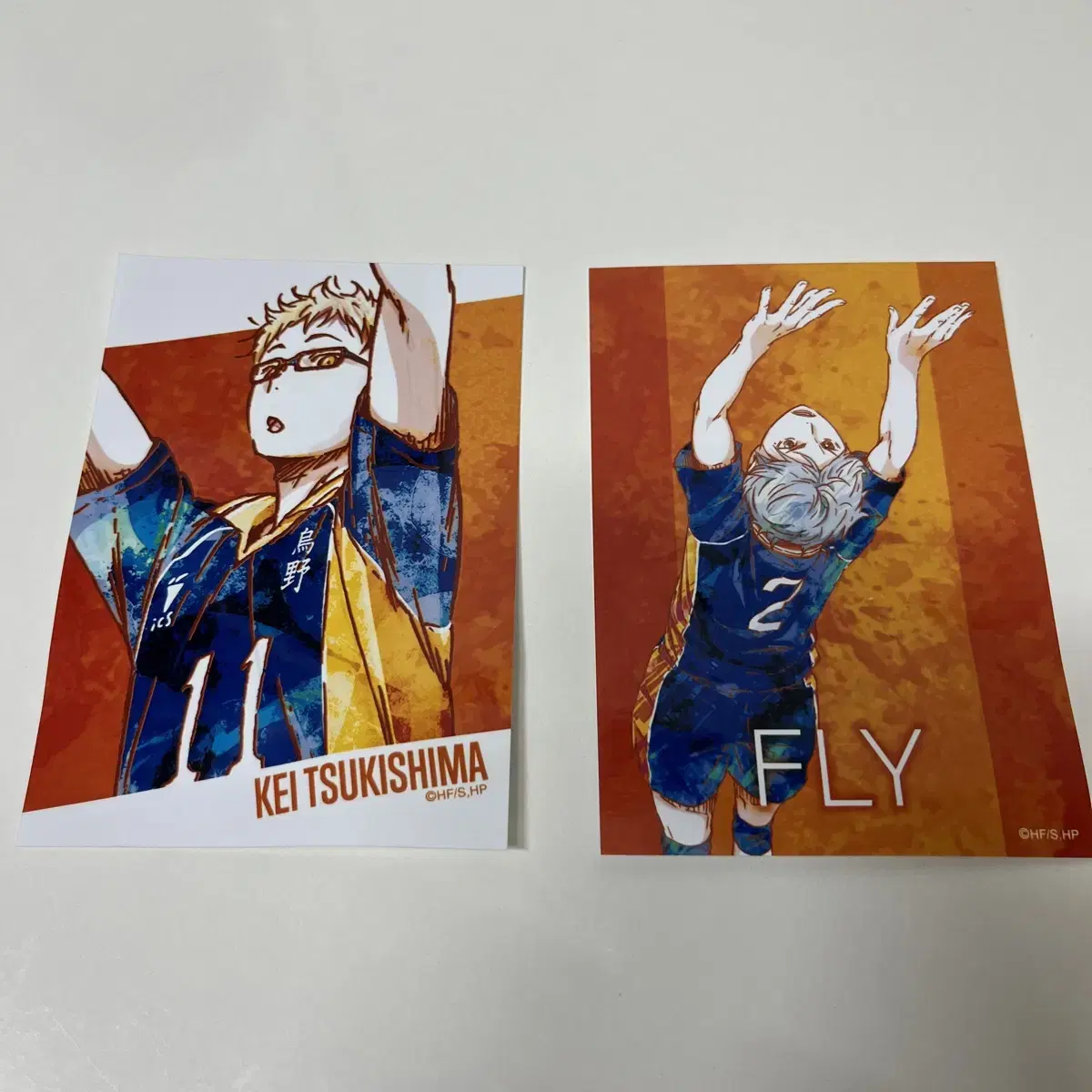 Haikyuu Tsukishima Kei Sugawara Koshi Aniart Postcard