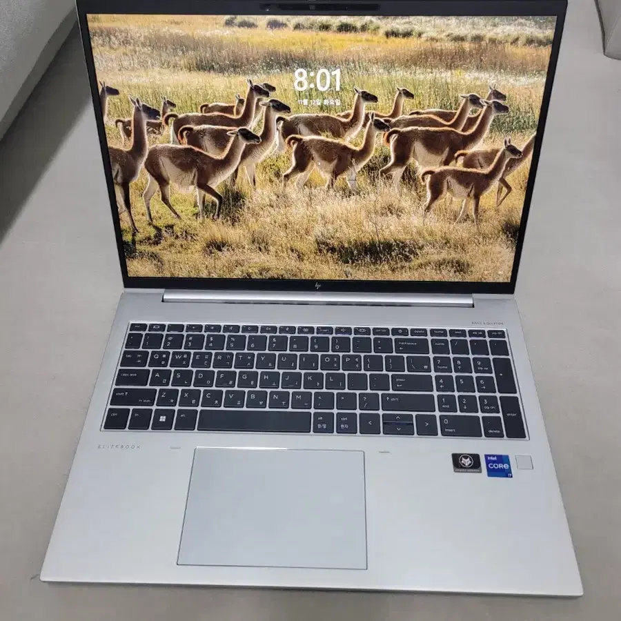 HP 노트북 i7 12세대 16gb 1tb as남음 16인치