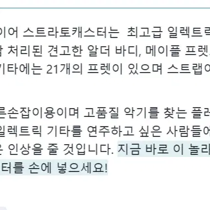 휀다 일렉기타