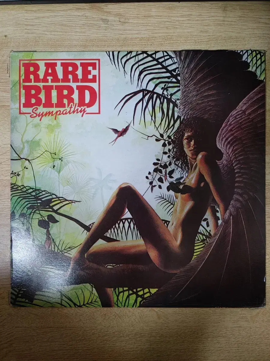 RARE BIRD 음반 (LP 턴테이블 오디오 앰프