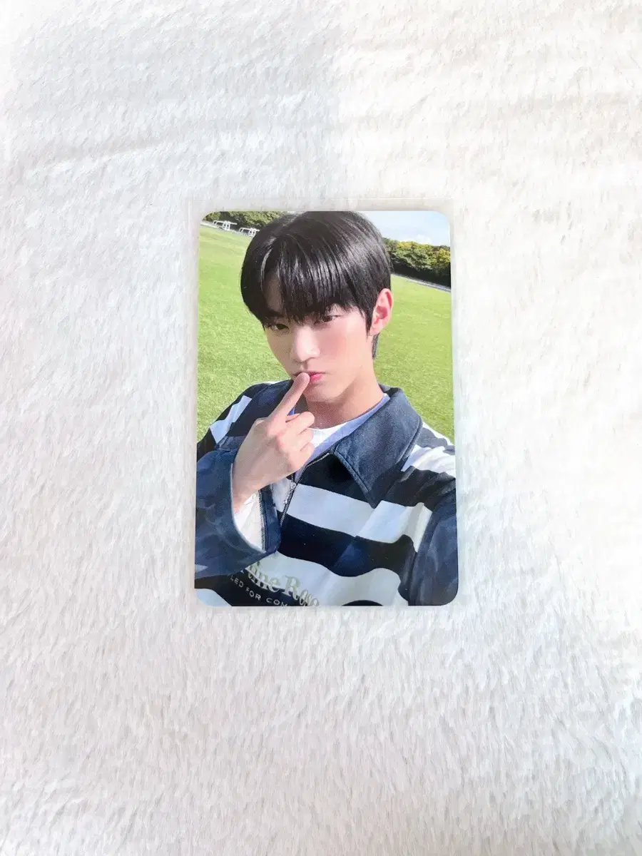 TWS Dohoon Summerbeat broadcast photocard WTS