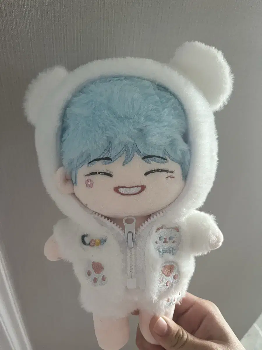 Seventeen Wonwoo Dolls