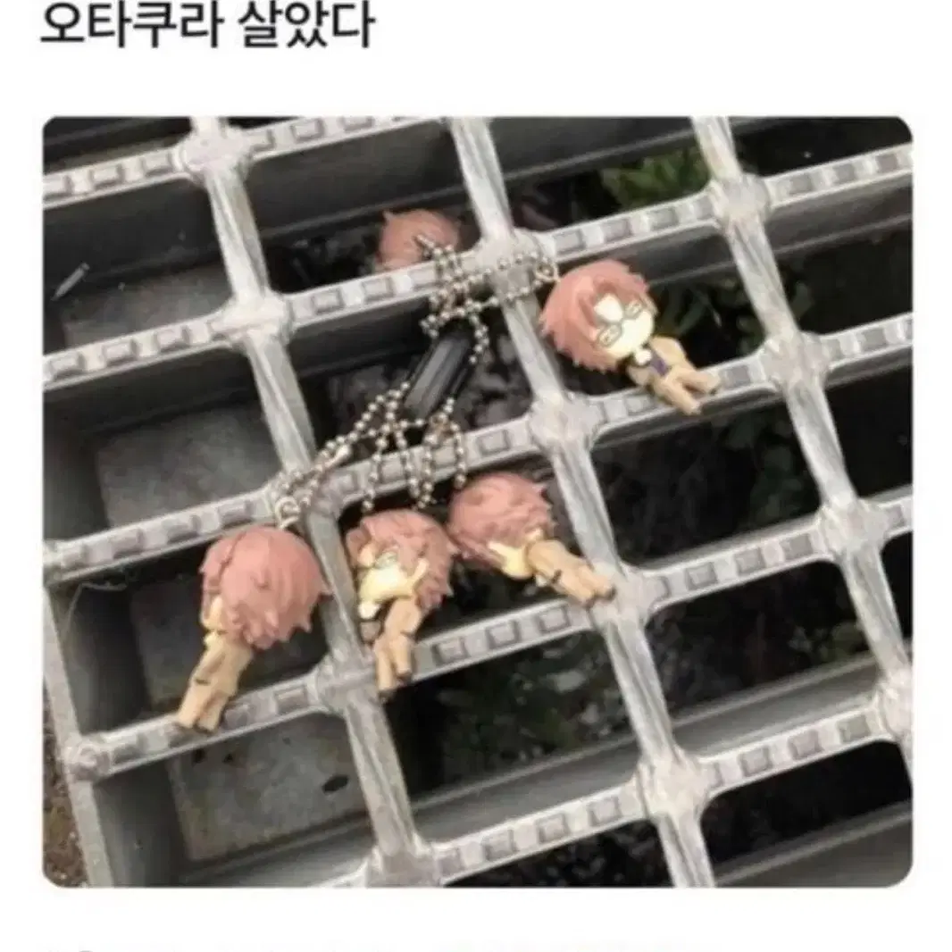 봇치 빅 누이 네소베리