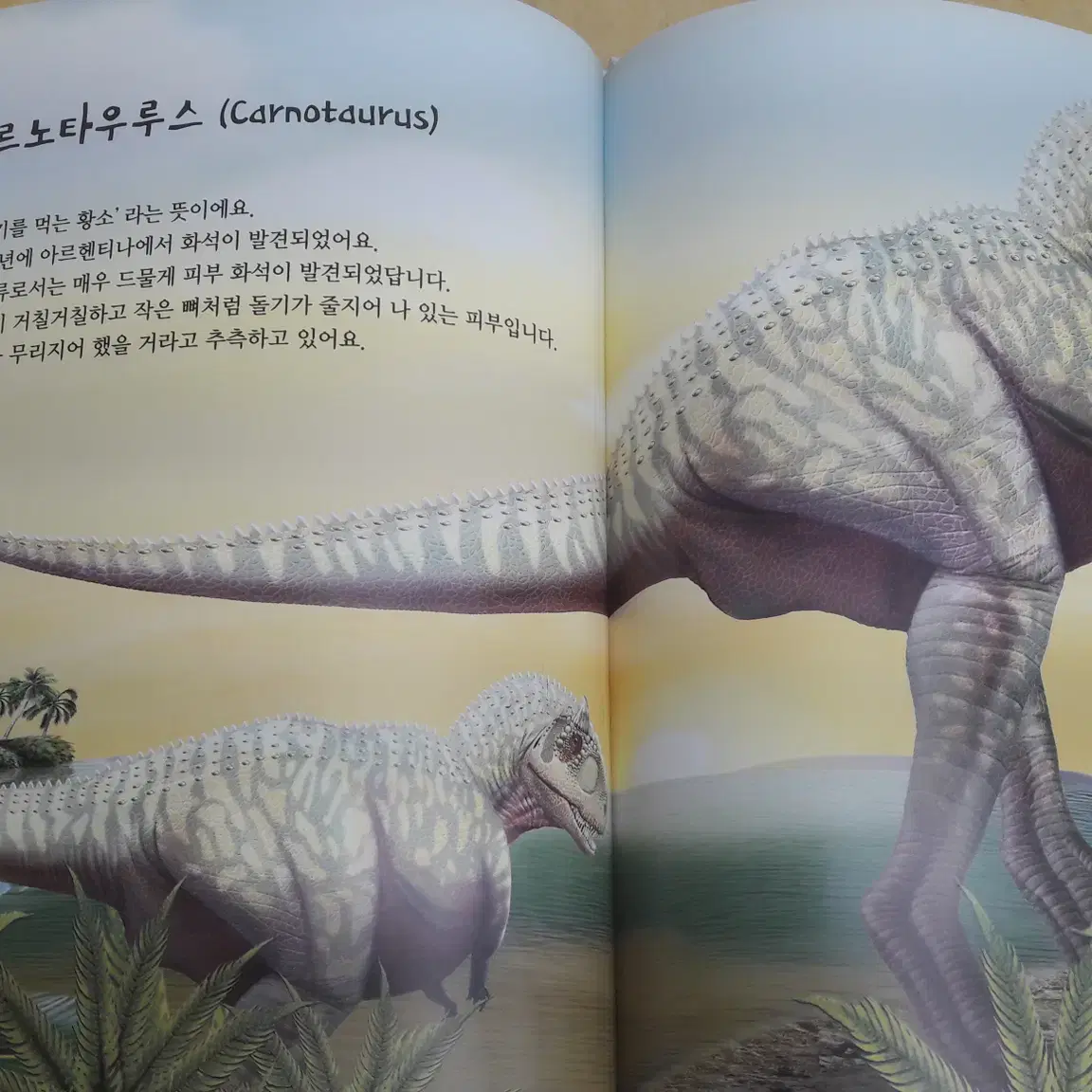 한국아이엔이 Dinosaurs World