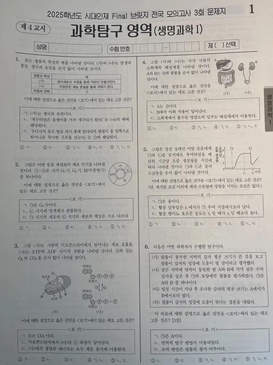 시대인재 파이널 브릿지 3~18회