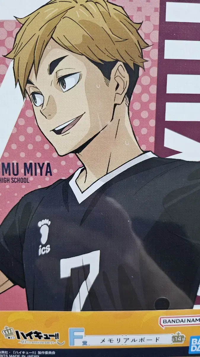 Haikyuu 10th Anniversary Ichibankuji F Prize Memorial Board