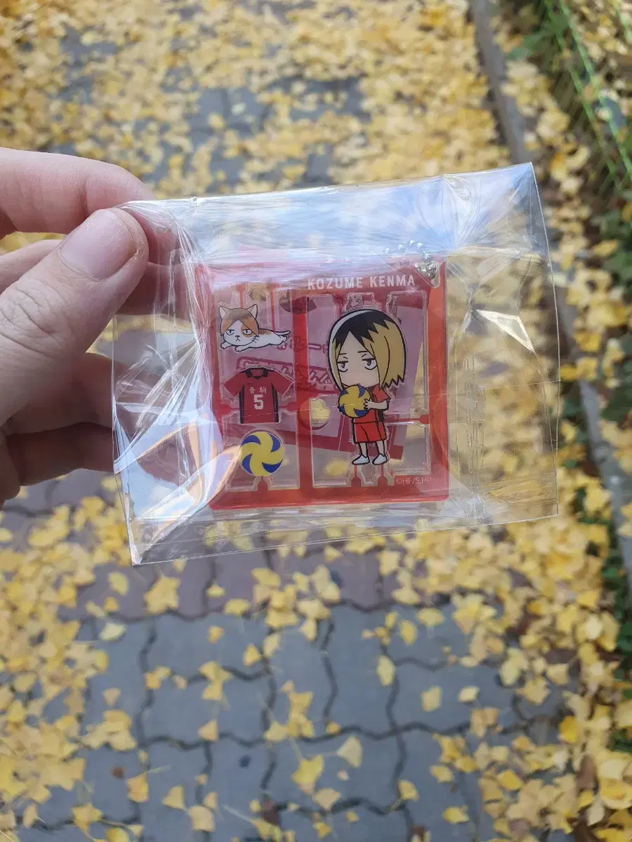 Haikyuu Kenma Plastic acrylic Key Holder