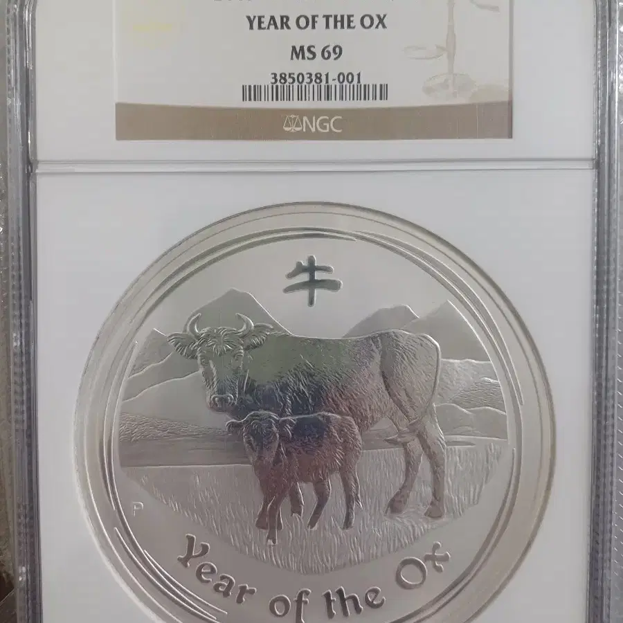 2009년 호주 1kg 소의 해 소띠 킬로 은화 NGC MS69