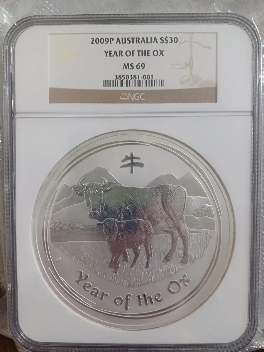 2009년 호주 1kg 소의 해 소띠 킬로 은화 NGC MS69