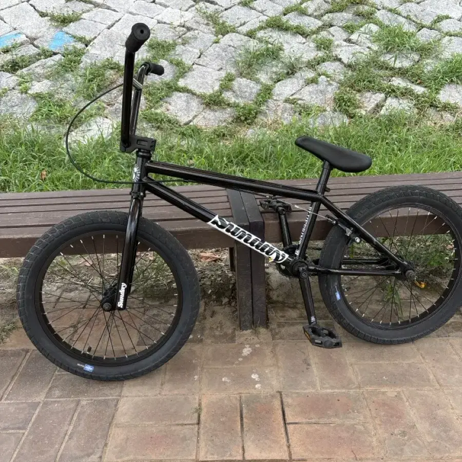 bmx선데이 판/대