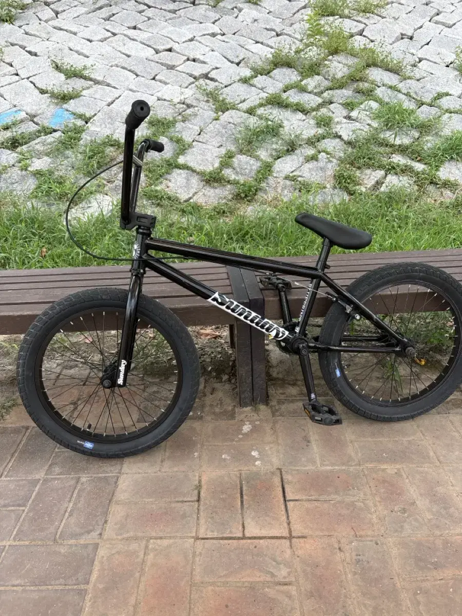 bmx선데이 판/대