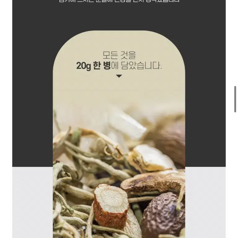 경록고 천녹향