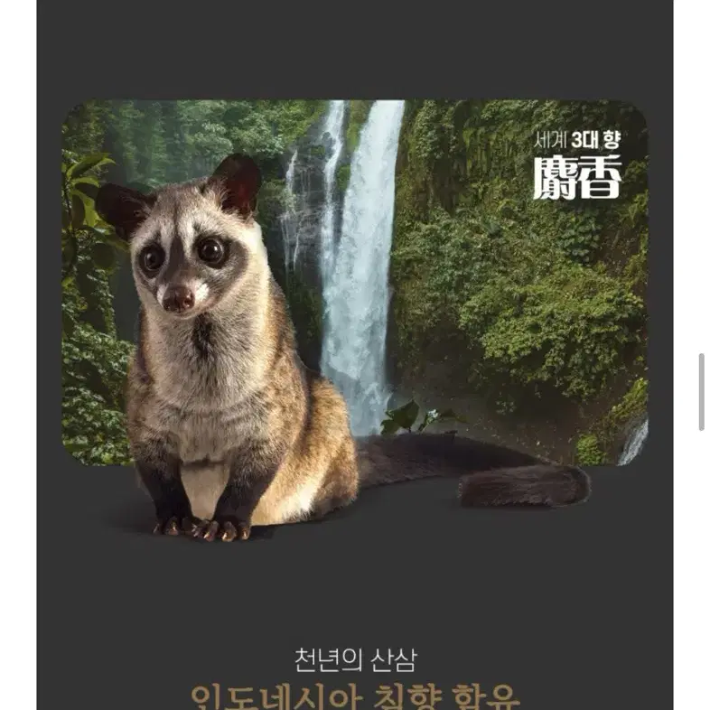 경록고 천녹향