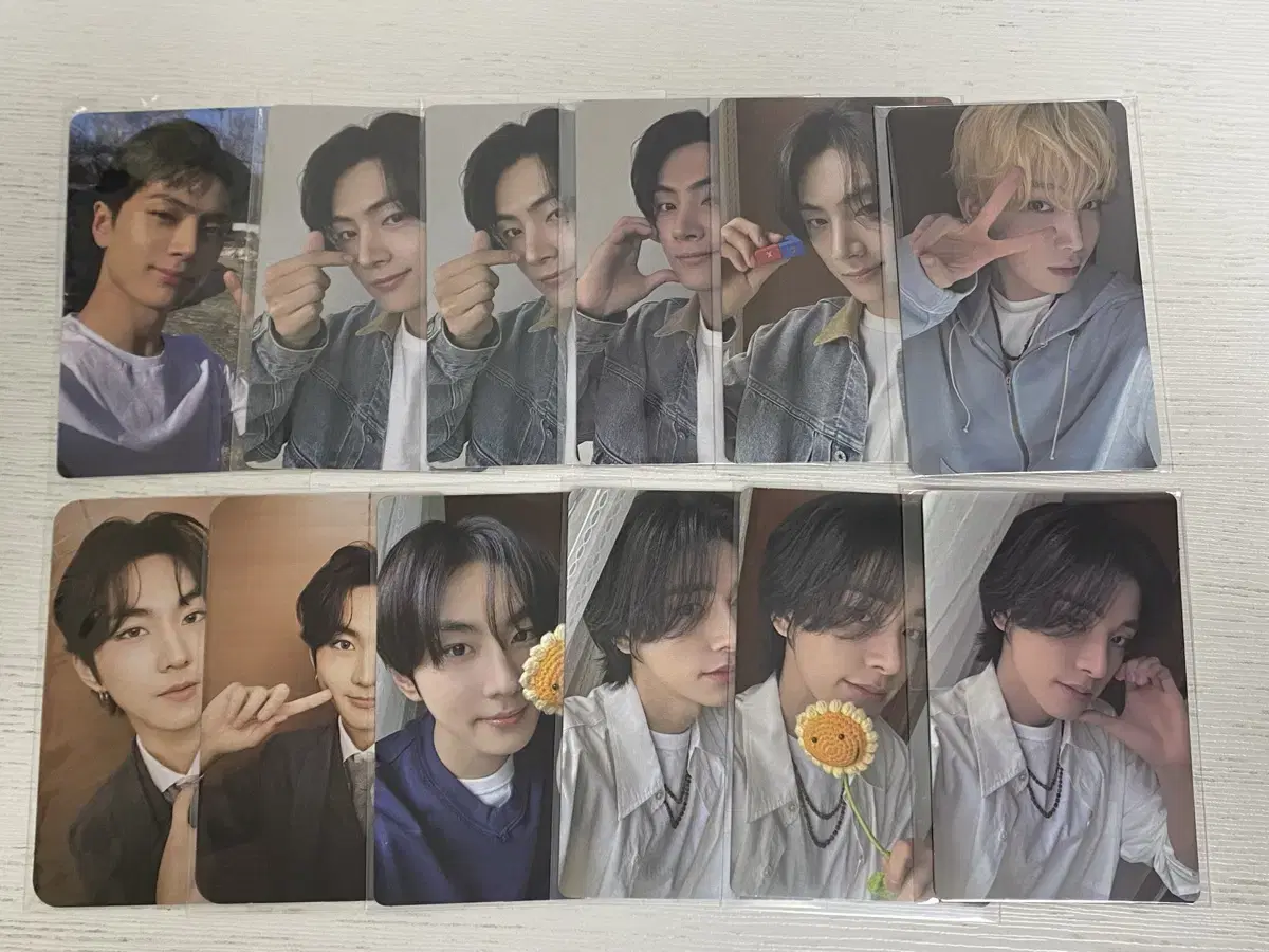 Bulk of 12 enhypen photo cards