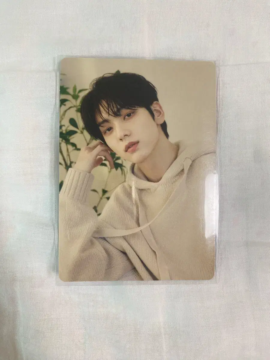 TXT 2024 DreamWeek soobin miniphotocard