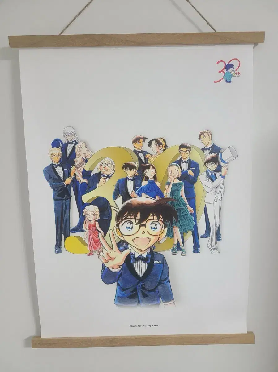 Detective Conan 30th Anniversary Tapestry