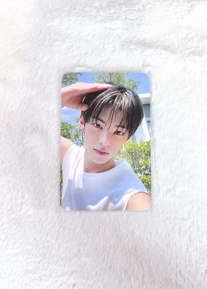 TWS Dohoon Summerbeat soundwave photocard unreleased photocard WTS