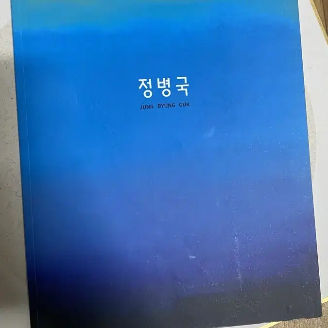 정병국작가 전시 도록