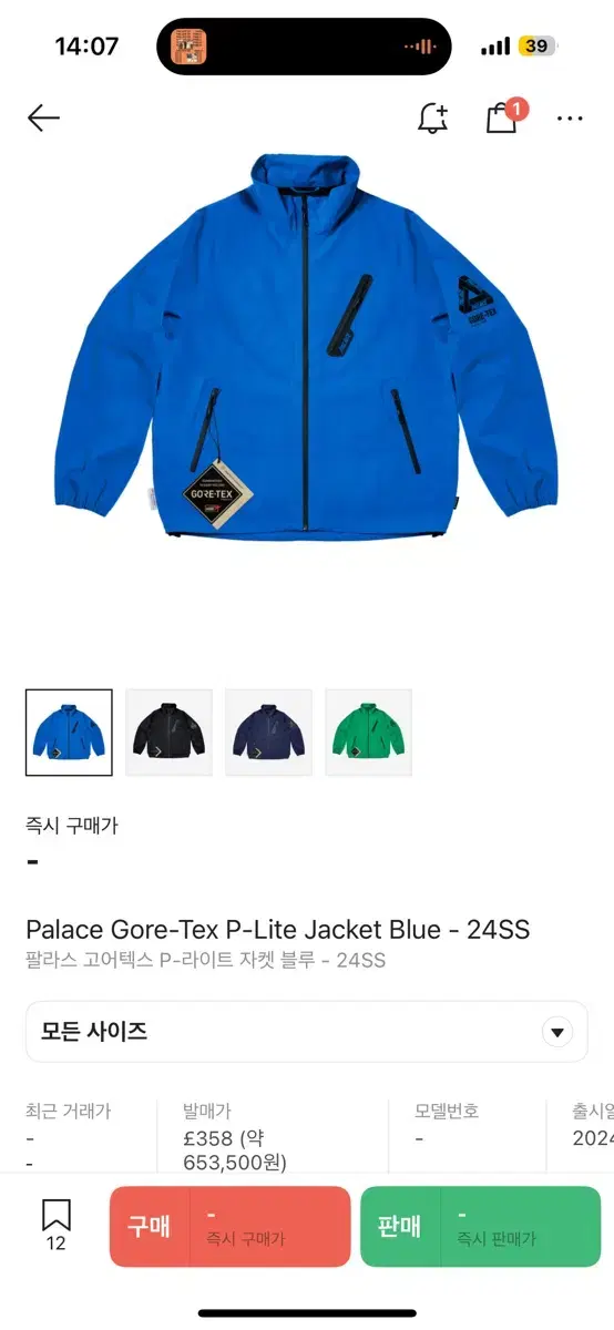 Pallas Gore-Tex Windbreaker