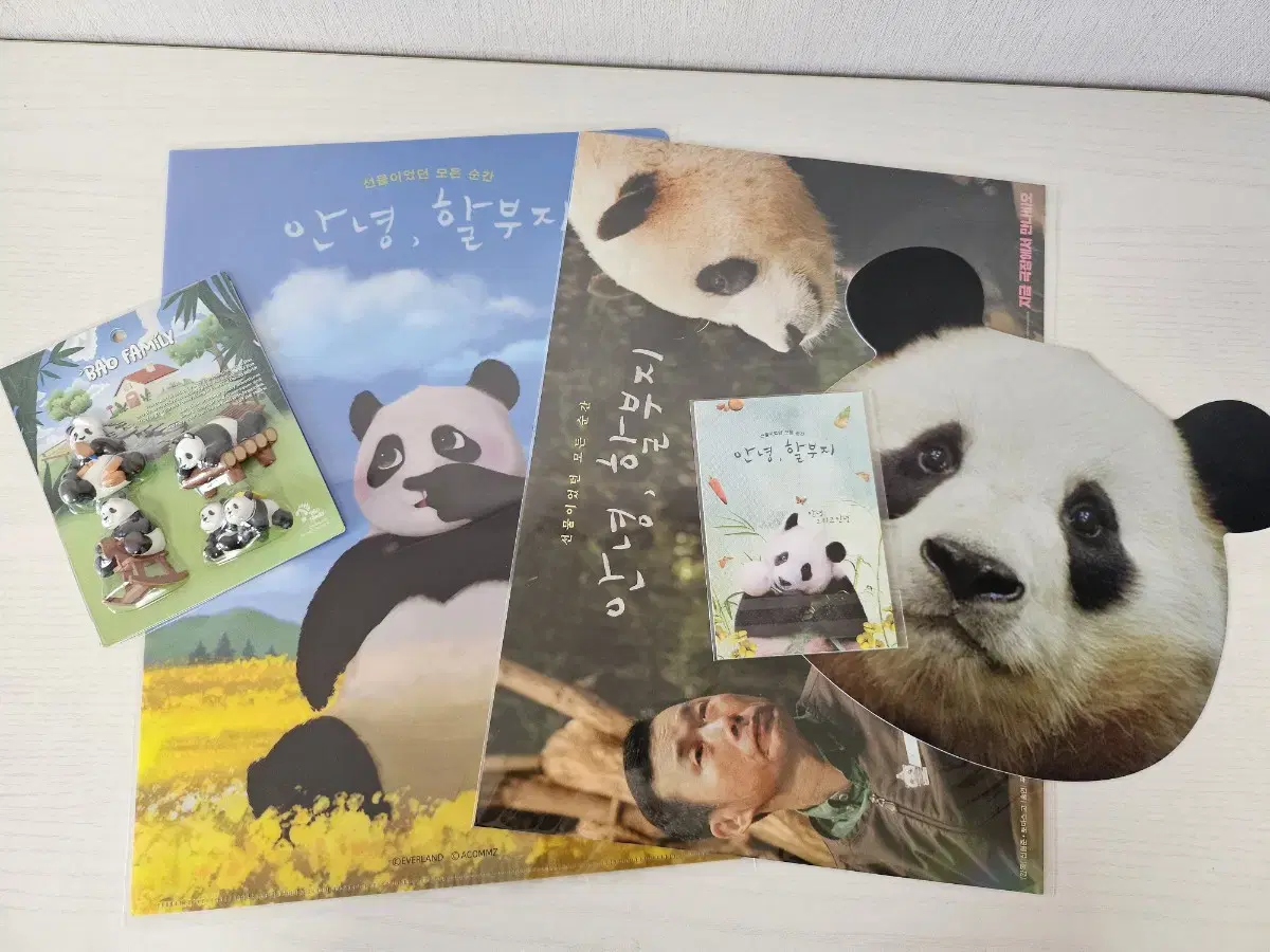 Bao Family Magnet Set (plus a gift)