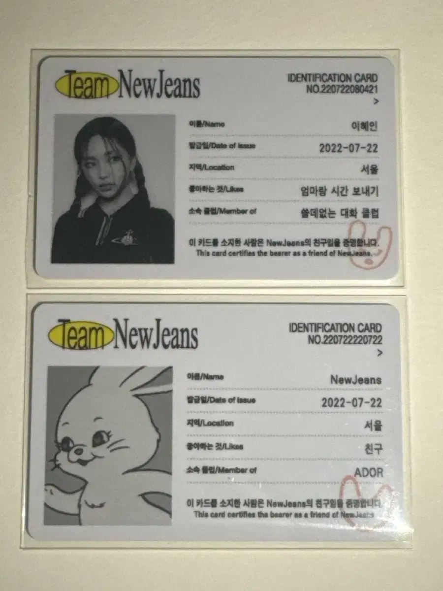 New Jeans hyein ID card