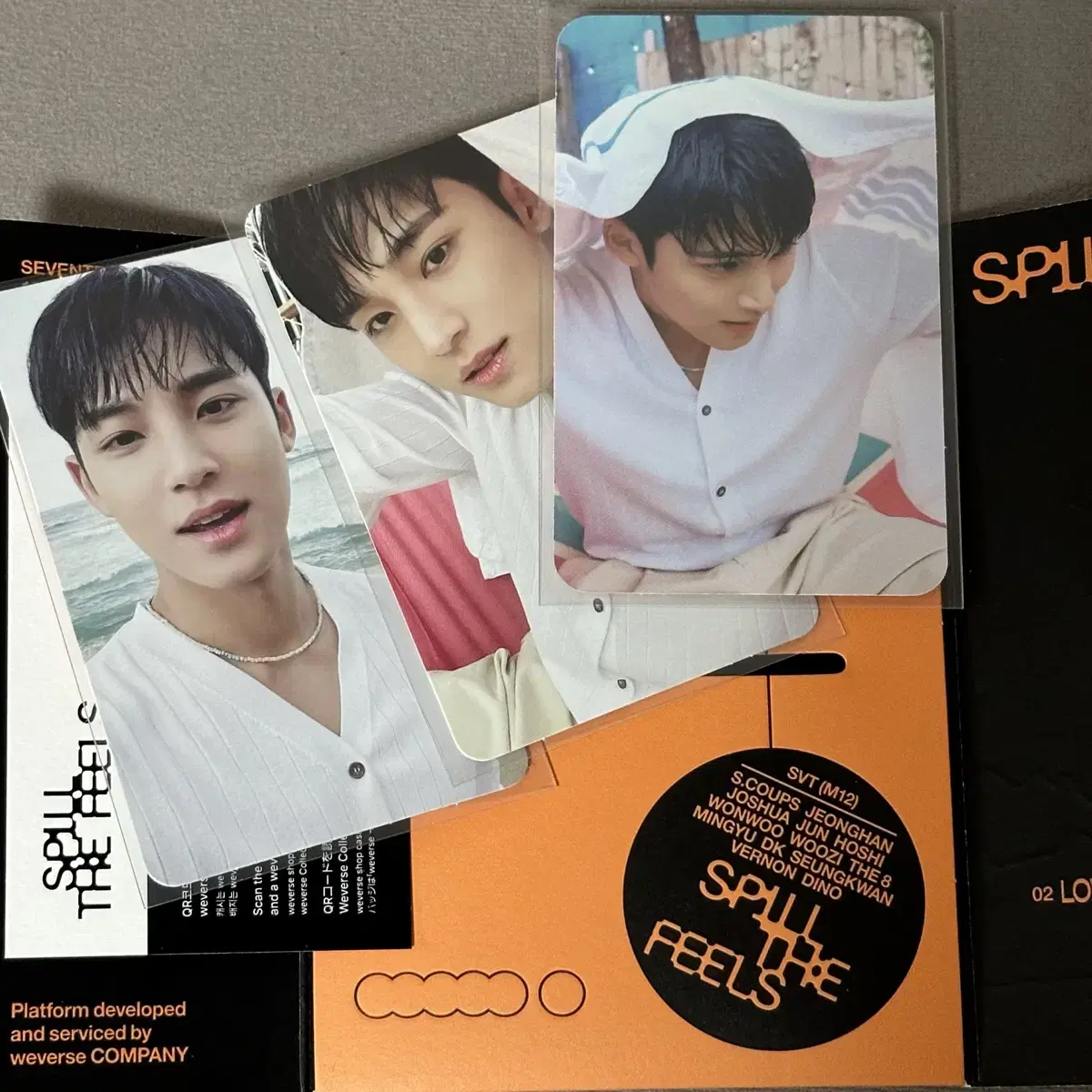 Seventeen Weavers Vahn mingyu WTS