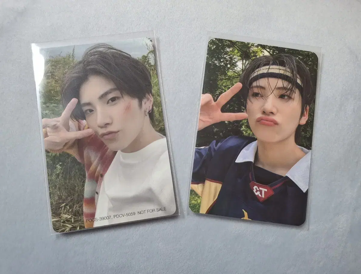 &team yuma photocard in bulk