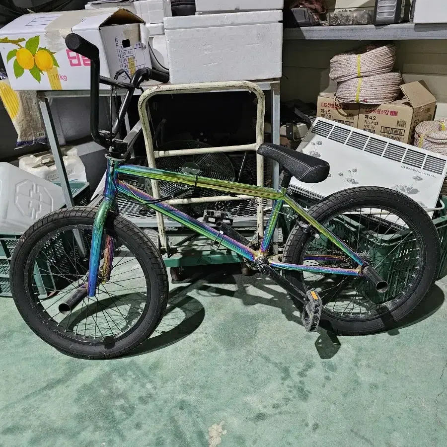 듣보 BMX