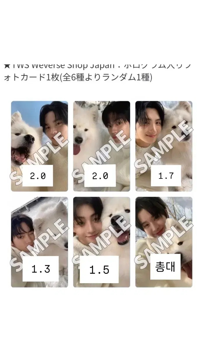 TWS weverse japan buncheol