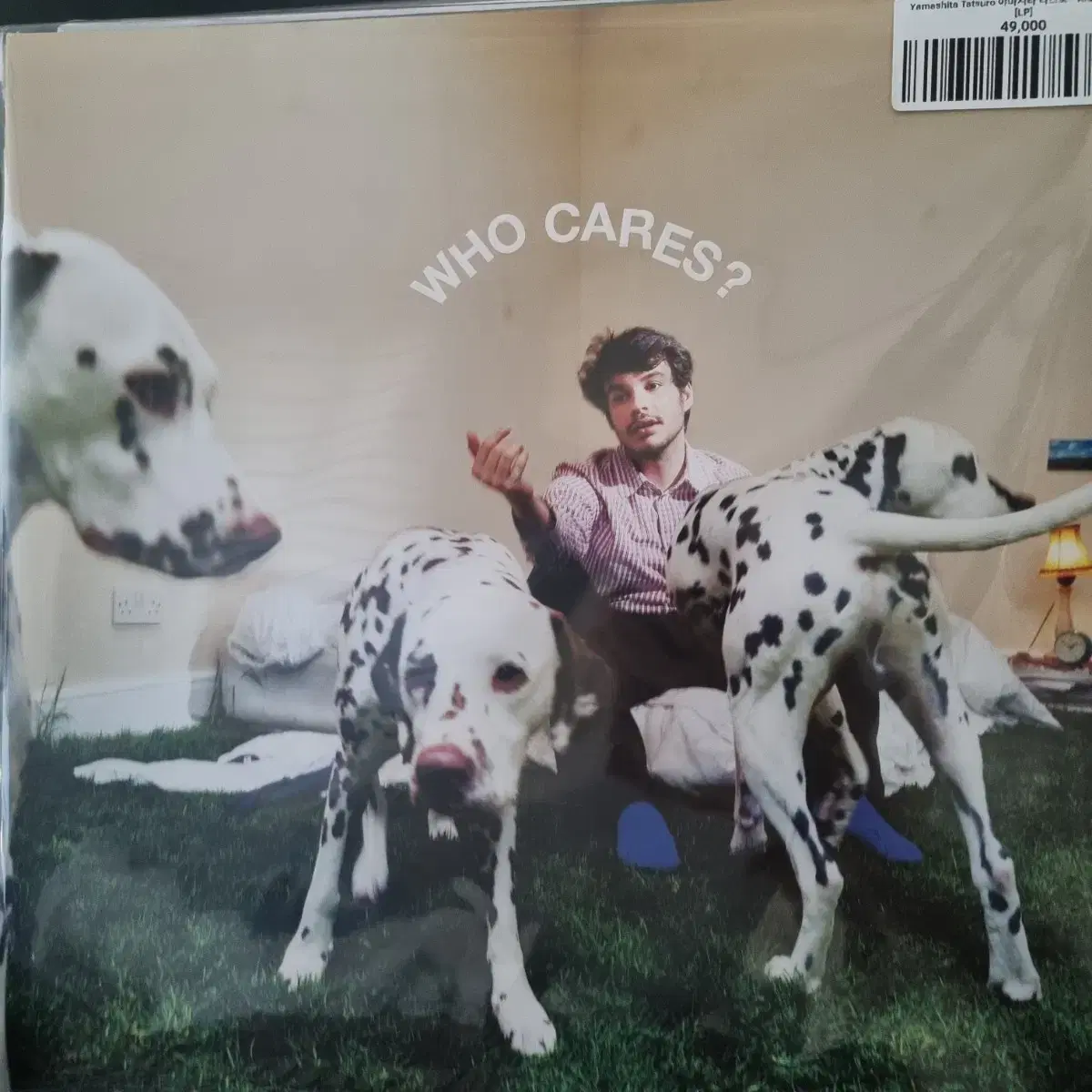 Rex Orange County - Who Cares? 개봉반