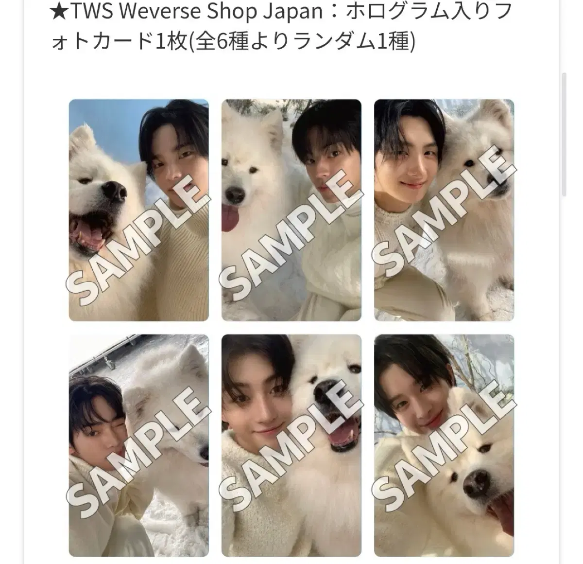 TWS LastBelle Weverse Japanunreleased photocardPearlCompactShinYuDohoonYoungjaeJihoonPocaTransfer