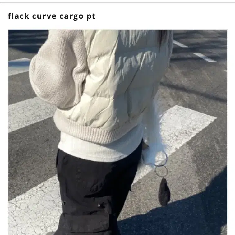 나의나인 flack curve cargo pt