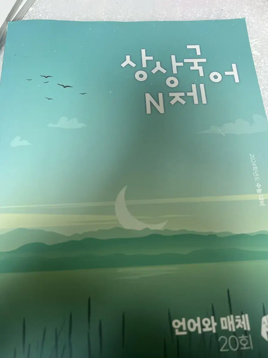 상상국어 n제 언어와 매체 20회