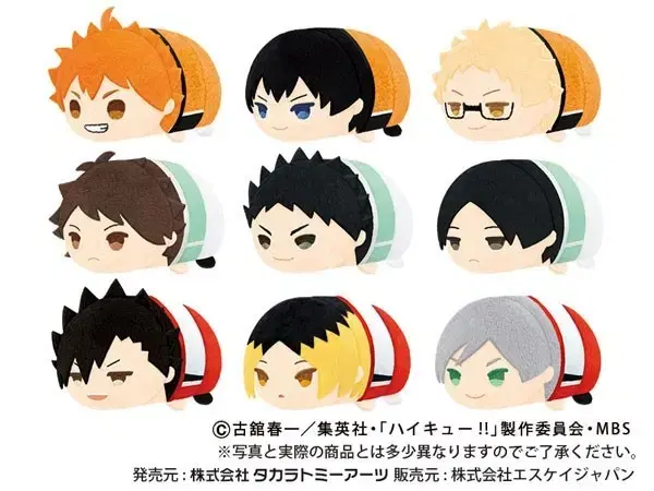 Haikyuu Mochimasu 4th Box Tool