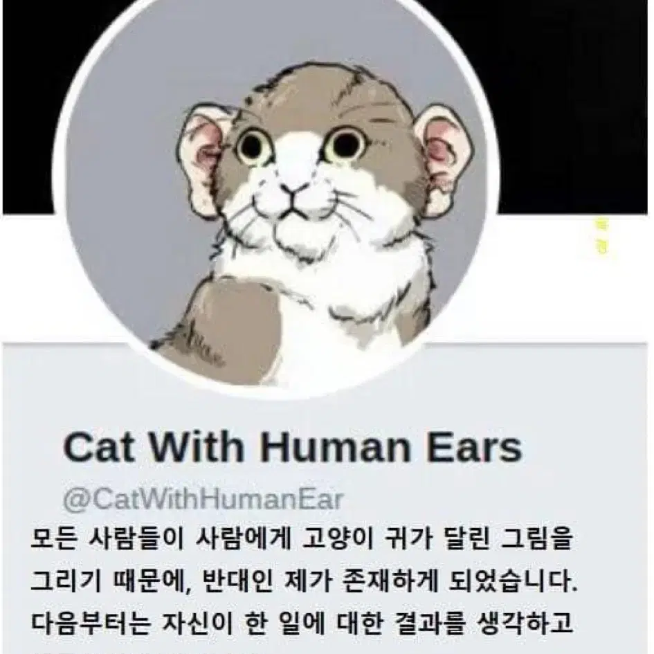 폴리테루 노매뉴얼 275 구매합니다