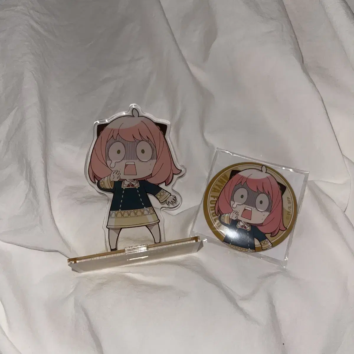 SPY FAMILY NOTA acrylic stand + can badge sells