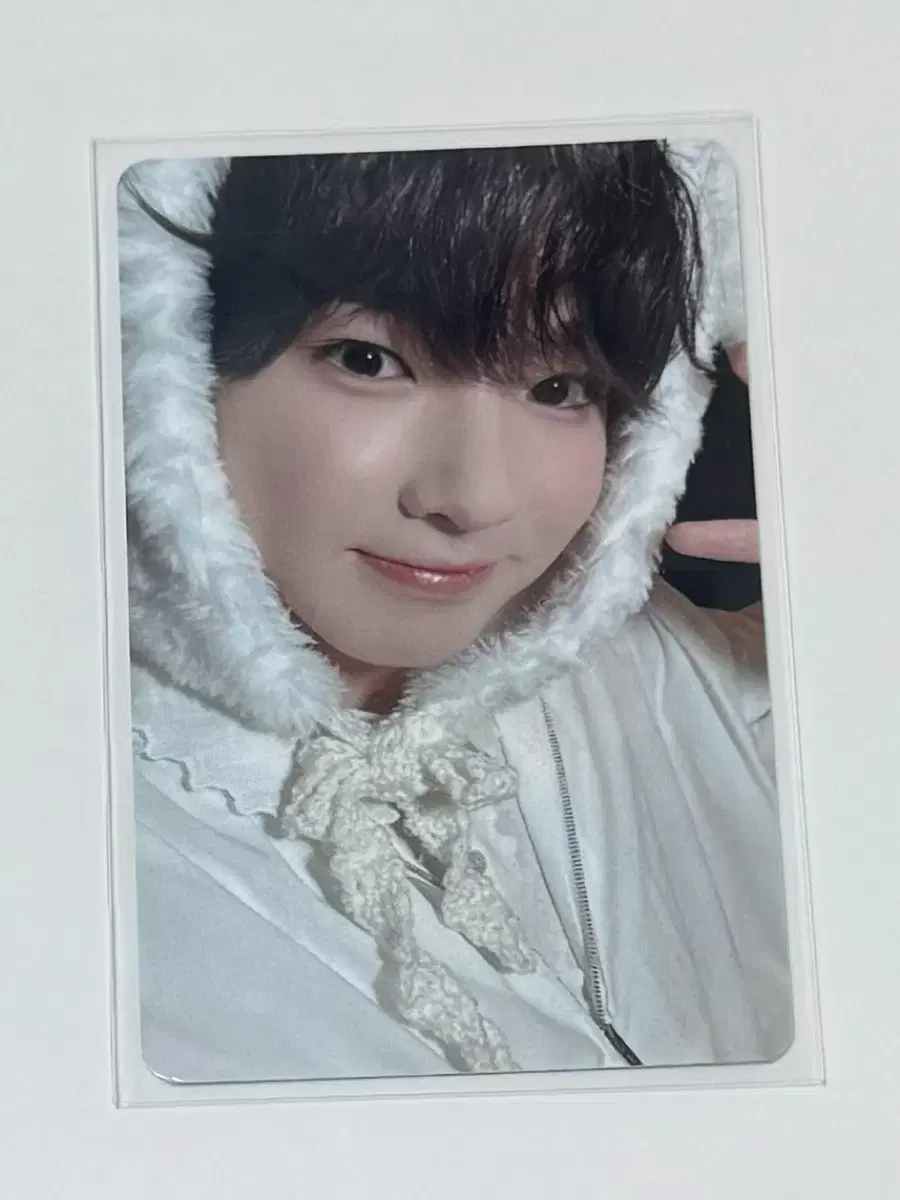 NCT wish Sakuya Japan Membership photocard WTS