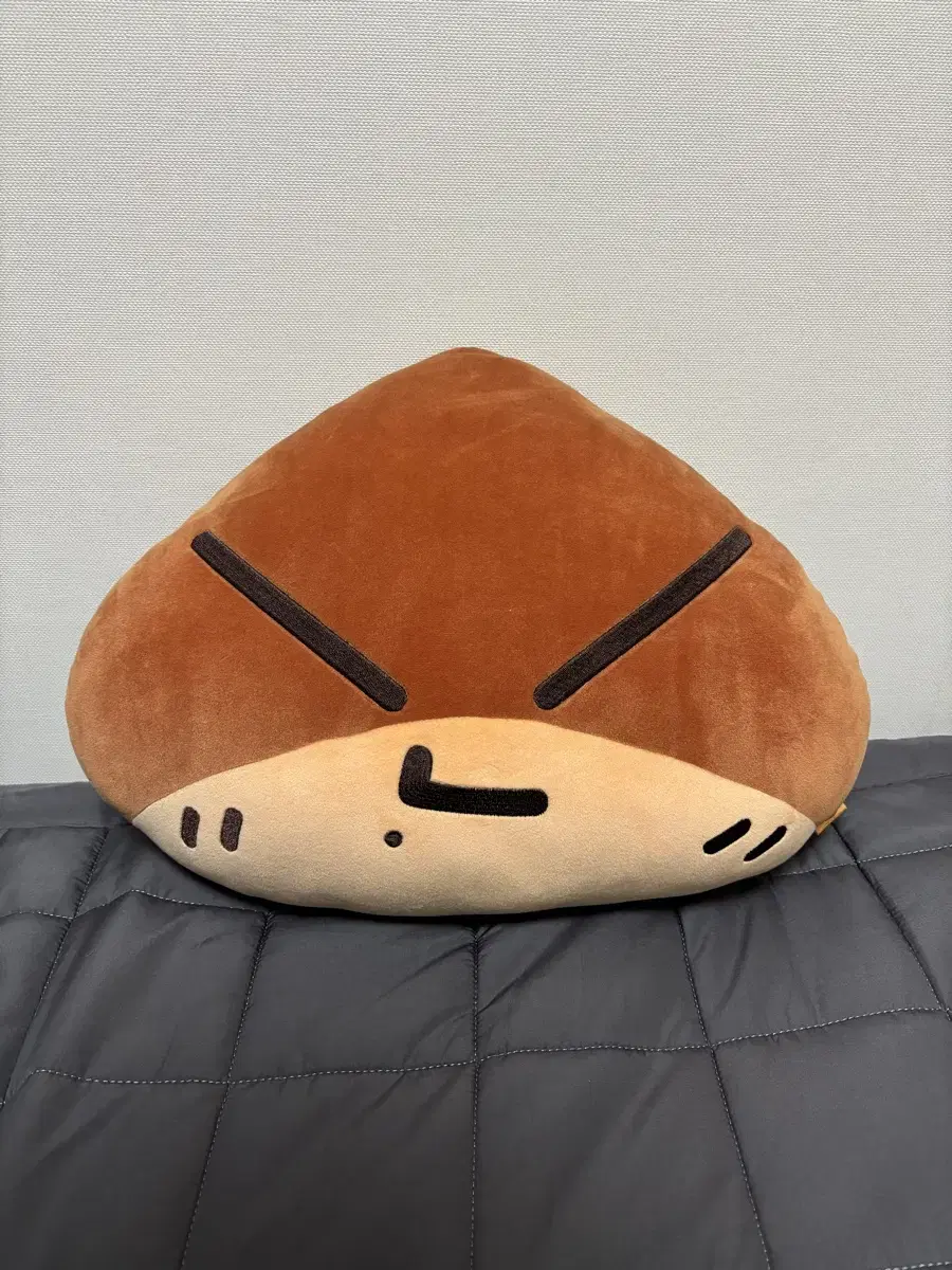 NCT Dream jisung Gunbamman Cushion