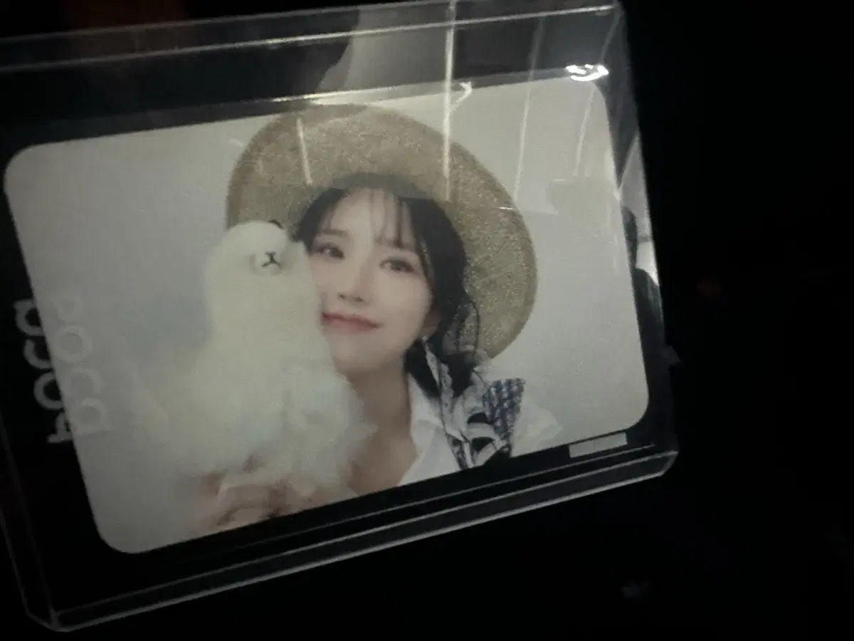 Fromis 9 song hayoung sells photo cards.