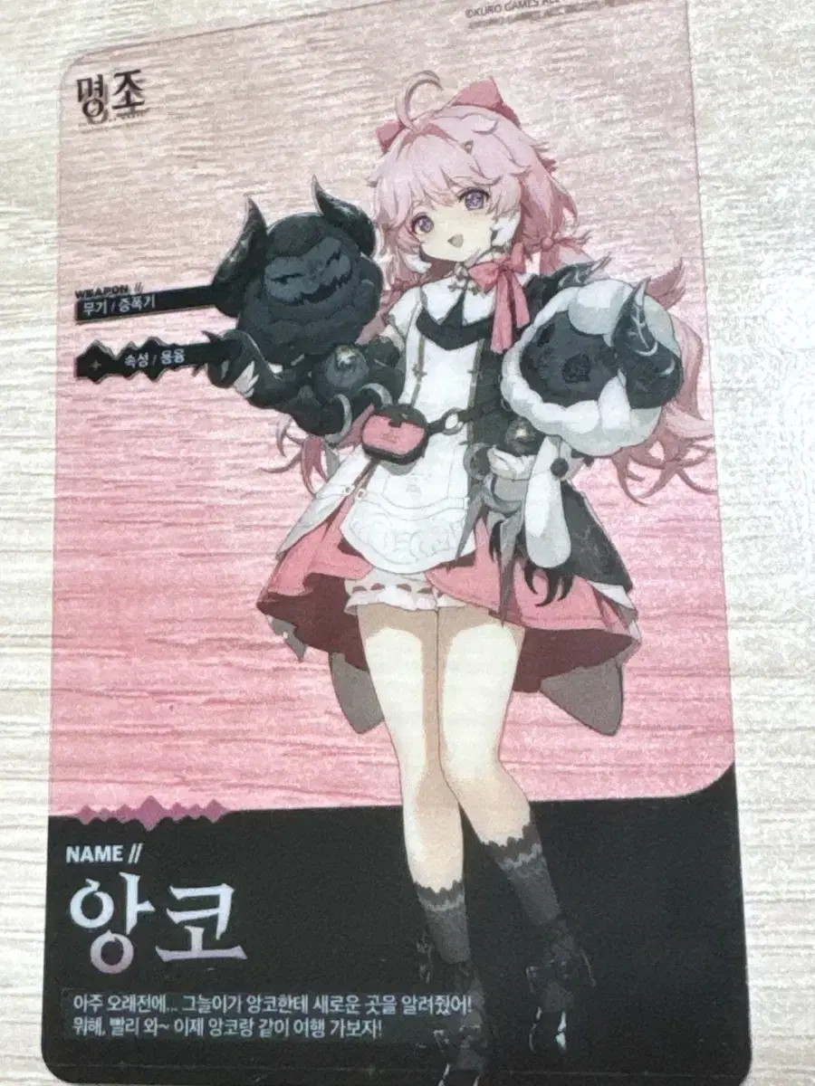 Mingjo Transparent Anko Photocard Pokka