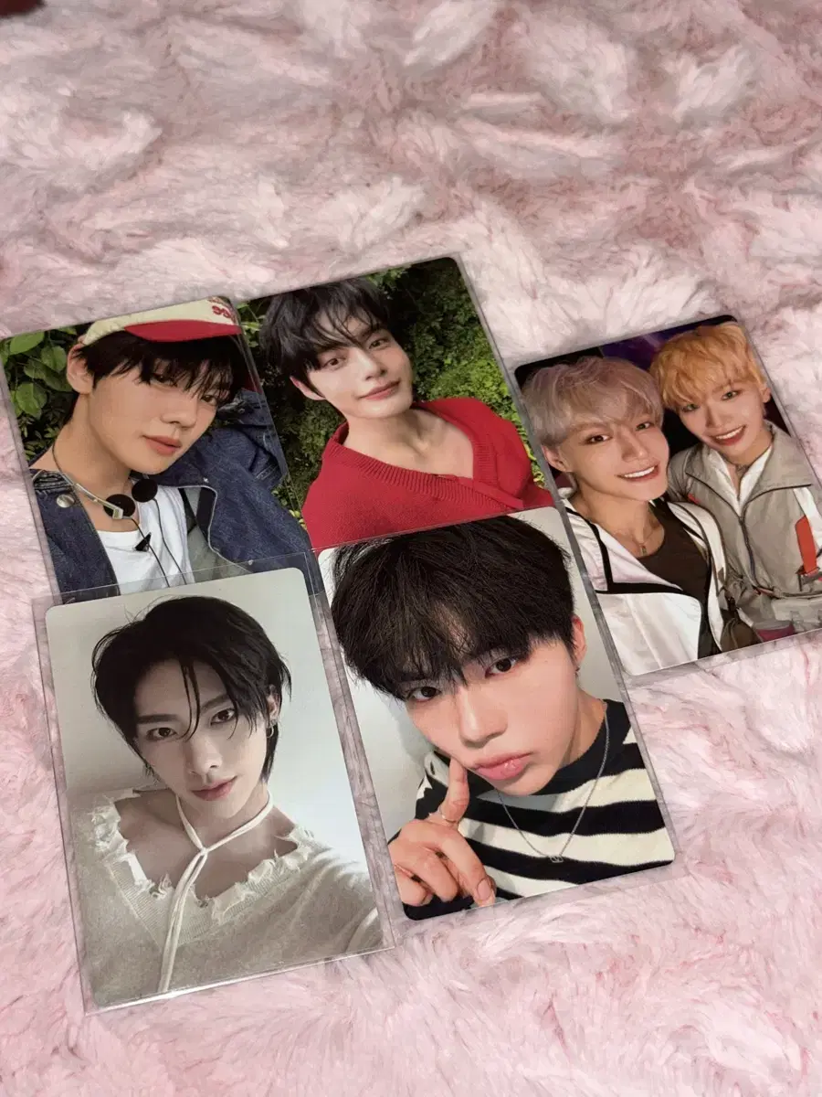 zerobaseone zeroz album albumphotocard wts kim gyuvinsung hanbinkim jiwoongricky taerae gunwook