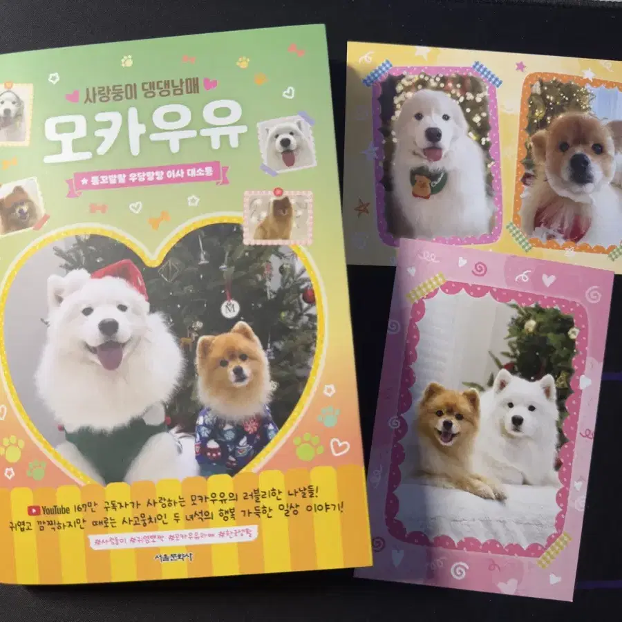 신간 [사랑둥이 댕댕남매 모카우유 2]+엽서2