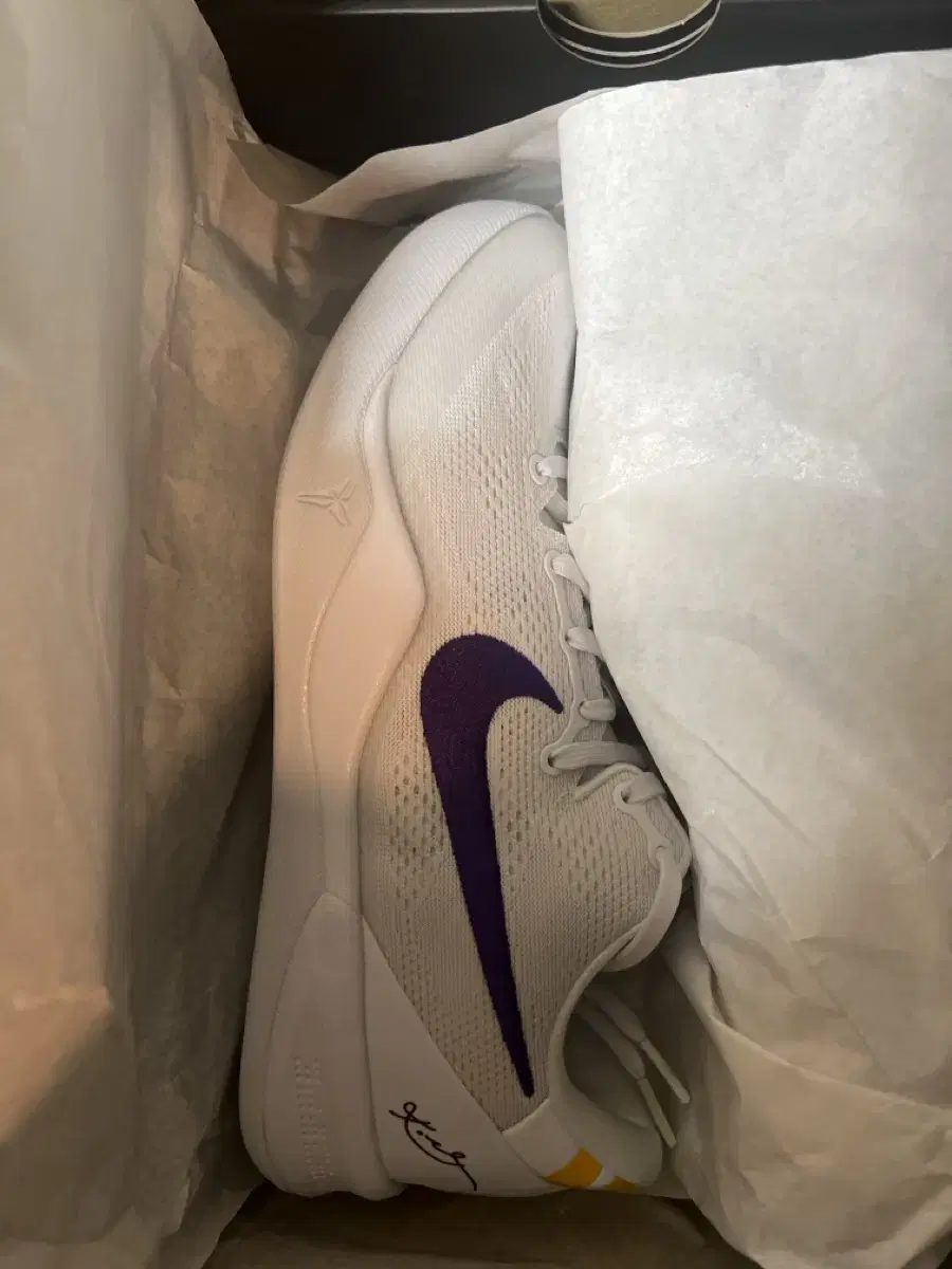 Nike Kobe 8 Protro White/Court Purple